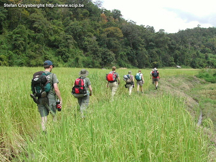 Chiang Mai - Trekking Our group walking through the jungle and rice fields to the north of Chiang Mai. Stefan Cruysberghs